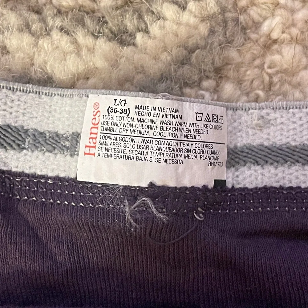VTG 90s Gray Waist Band Purple Classic Hanes Men Brief Large 36-38 100% Cotton